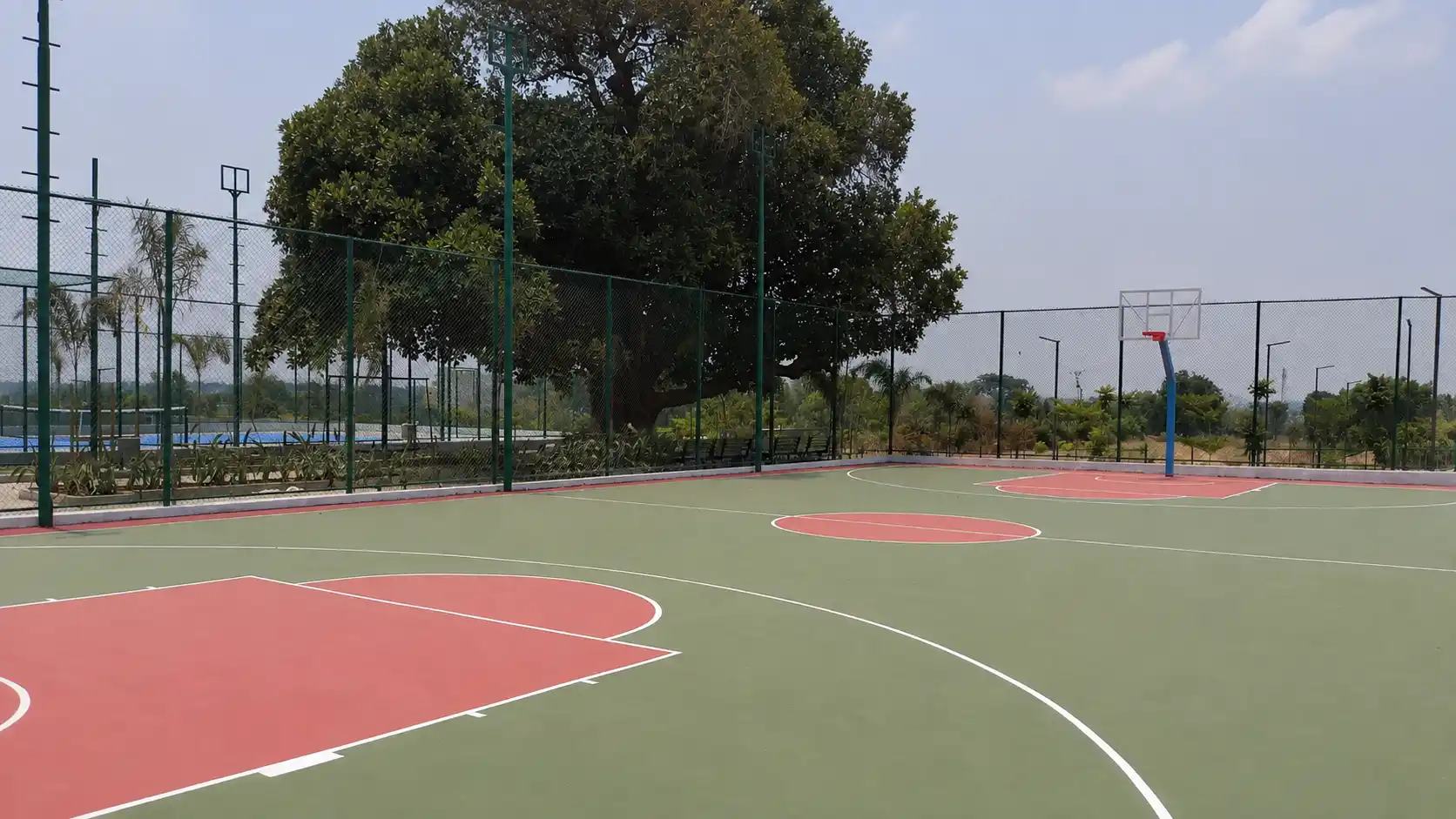 Basketball court