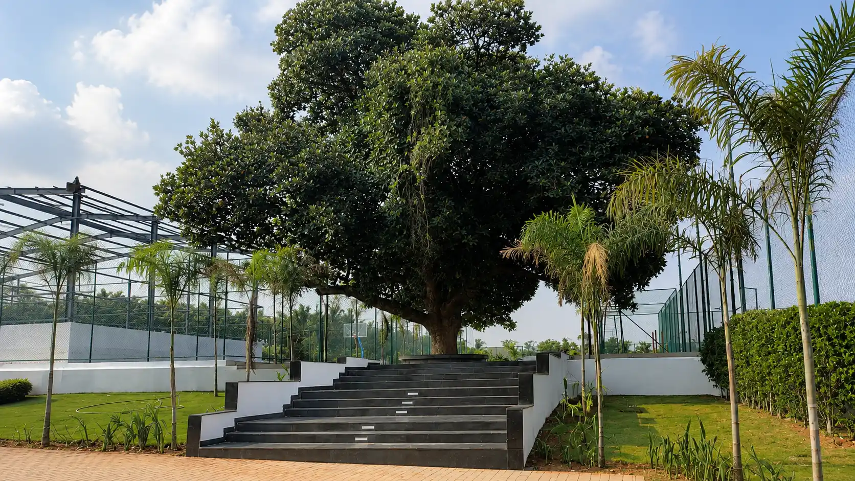 Tree-lined avenue through the layout
